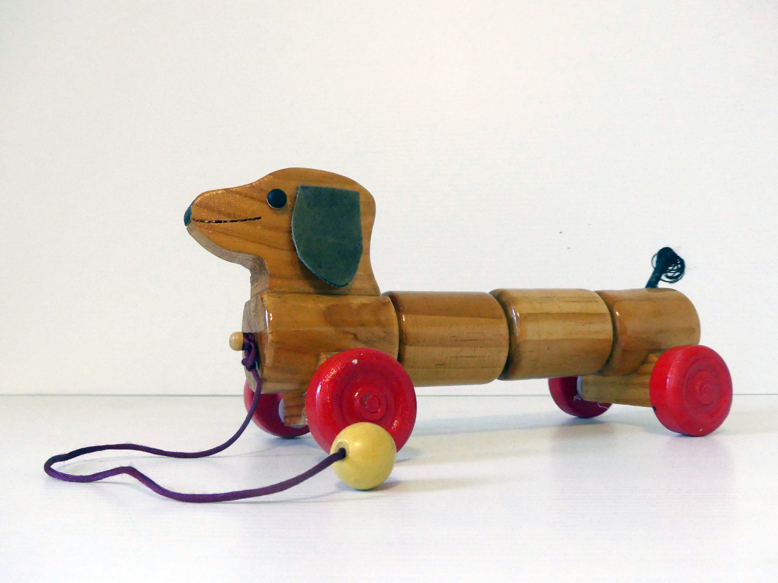 Dachund