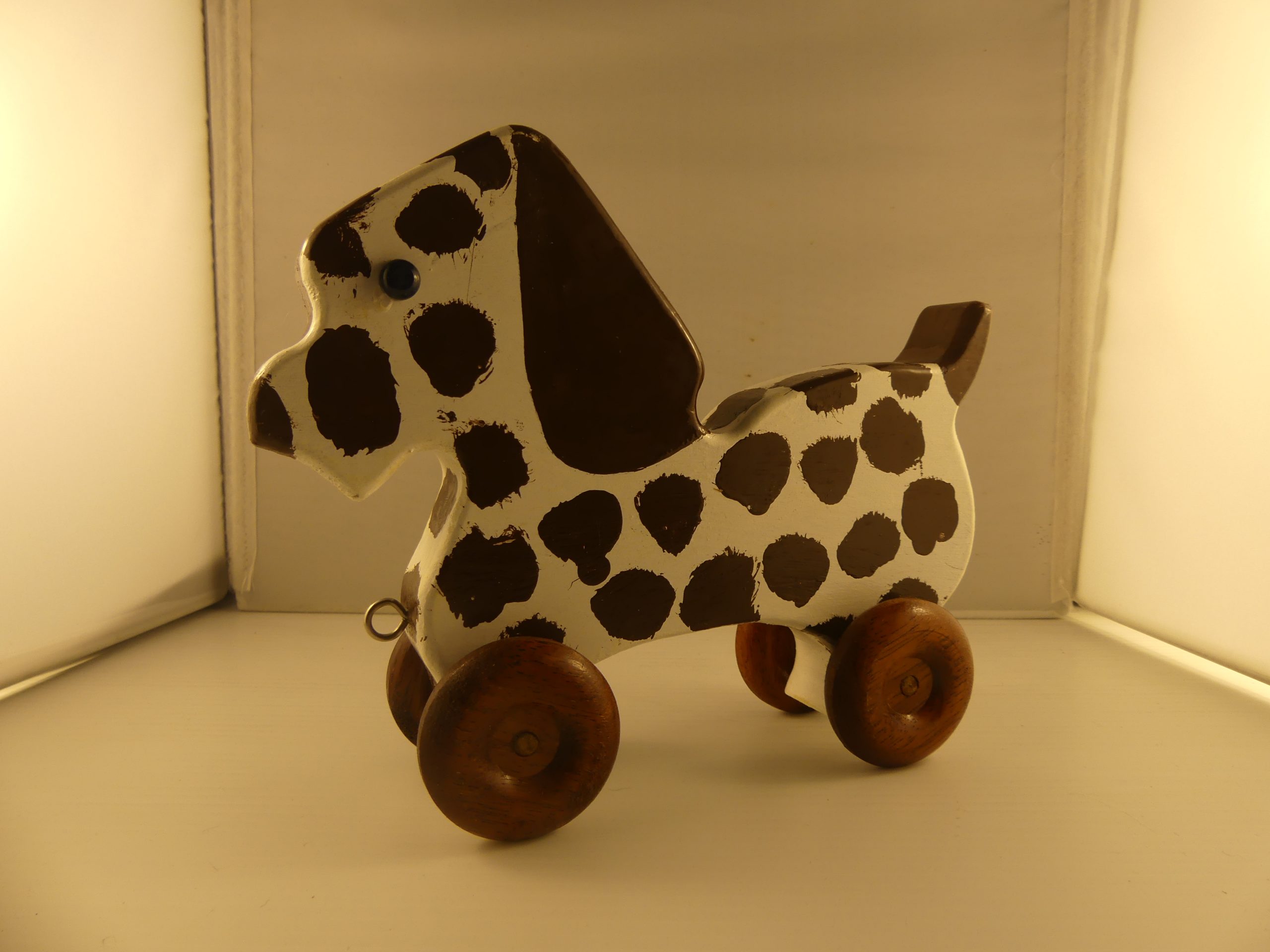 Spotted DogJPG